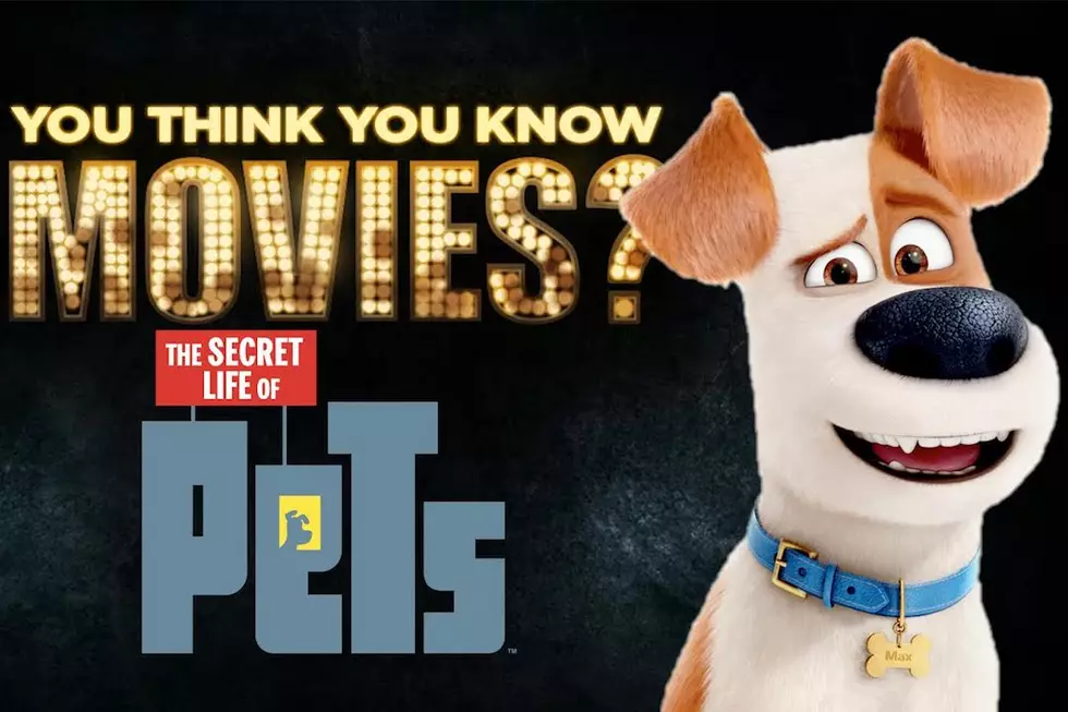 Learn the Secrets of ‘The Secret Life of Pets’