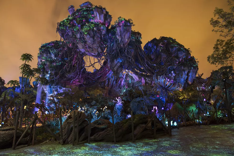 ‘Pandora &#8211; The World of Avatar’ Takes Riding the Movies to a New Level