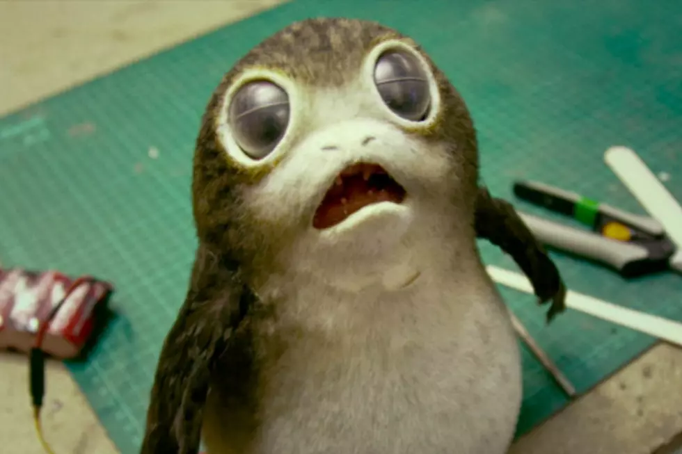 First Look at Baby Porgs in ‘Star Wars: The Last Jedi’ Will Melt Your Brain