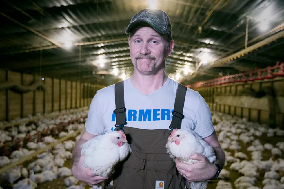 ‘Super Size Me 2: Holy Chicken!’ Is Headed to YouTube