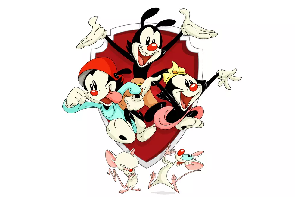 'Animaniacs' Reboot Officially Hits Hulu With Two-Season Order
