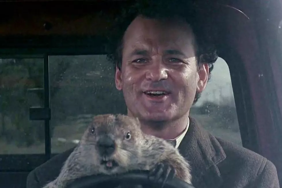 Groundhog Day + Snow Storm = More Winter?