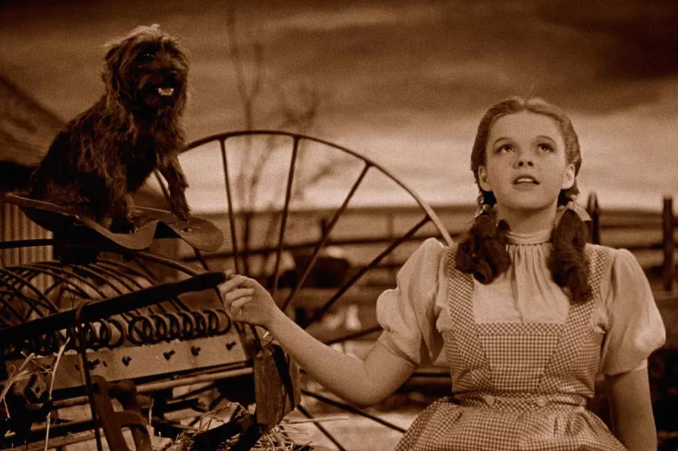 An Animated ‘Wizard of Oz’ Retelling Is Happening, But From Toto’s Perspective