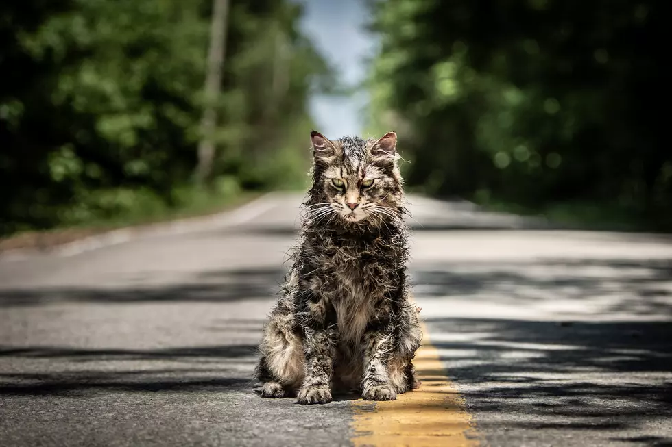Sometimes Dead Is Better, But ‘Pet Sematary’ Is Alive Again In the Remake Trailer