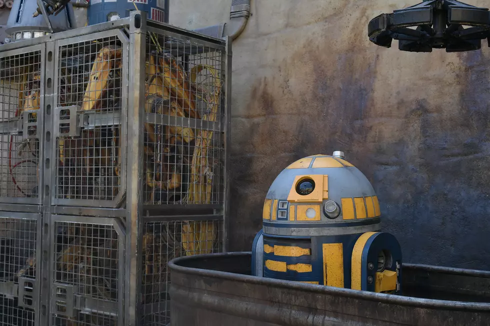 Would You Pay $25,000 For an R2-D2 From Galaxy’s Edge? Because a Bunch of People Would