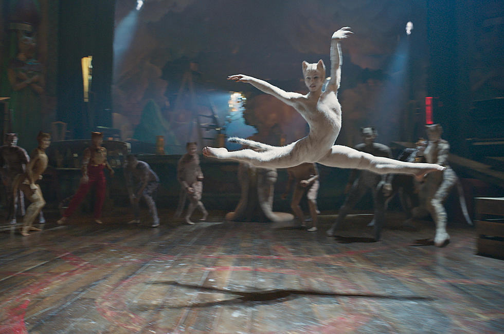 Dog-Friendly Screenings of ‘Cats’ Are Now A Thing