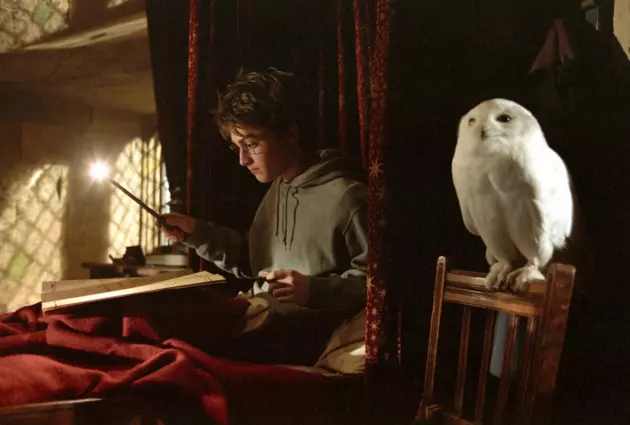 Explore Harry Potter&#8217;s &#8216;History of Magic&#8217; Online For Free!
