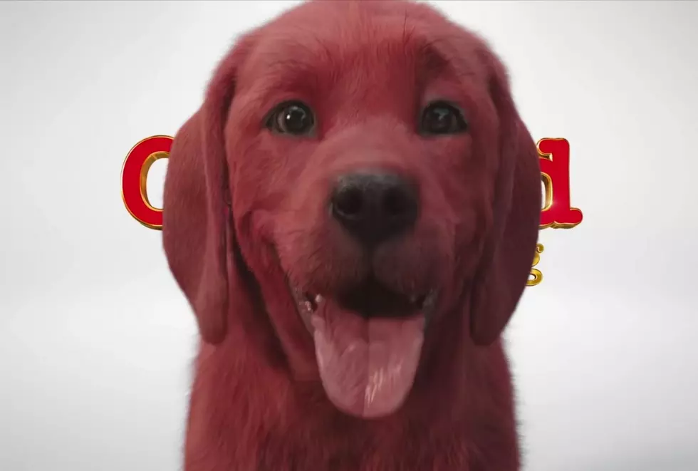 Paramount Reveals First Look At ‘Clifford The Big Red Dog’