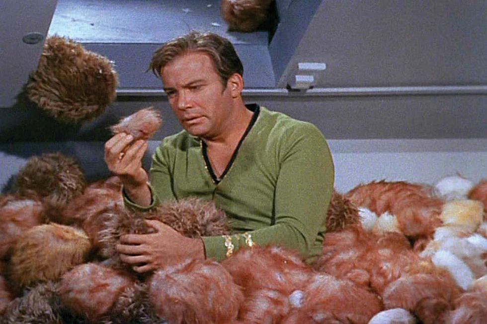 William Shatner Has Never Watched A ‘Star Trek’ Episode