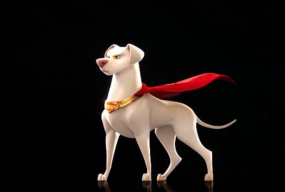 Dwayne Johnson and Kevin Hart Will Voice DC’s ‘Super-Pets’