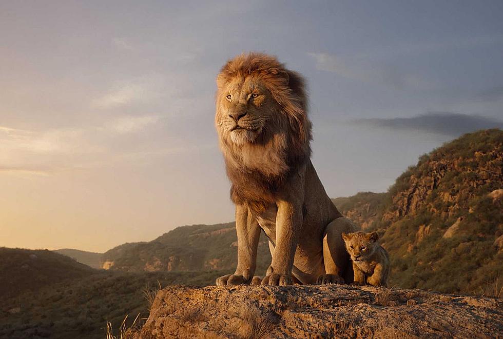 ‘The Lion King’ Prequel Gets Official Title