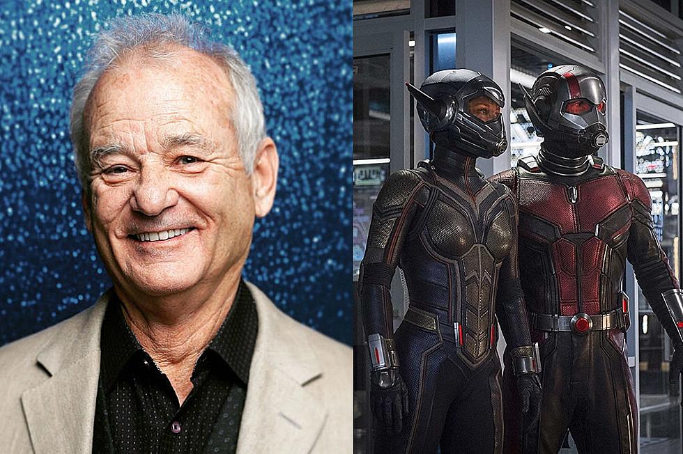 Murray Says He Plays a Role in Ant-Man & the Wasp: Quantumania
