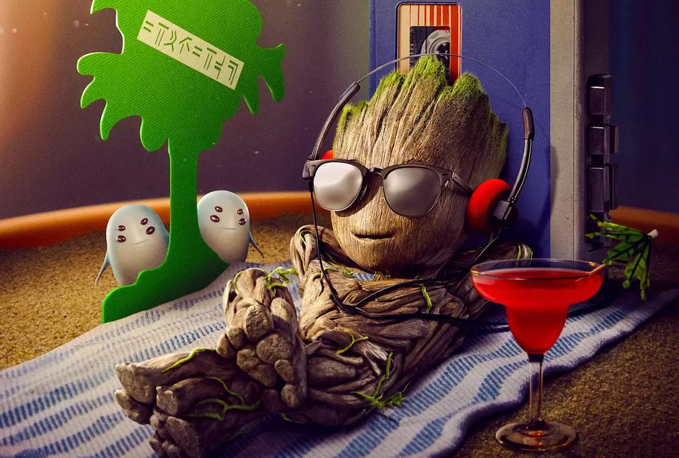 Groot Gets His Own Disney+ Series This Summer