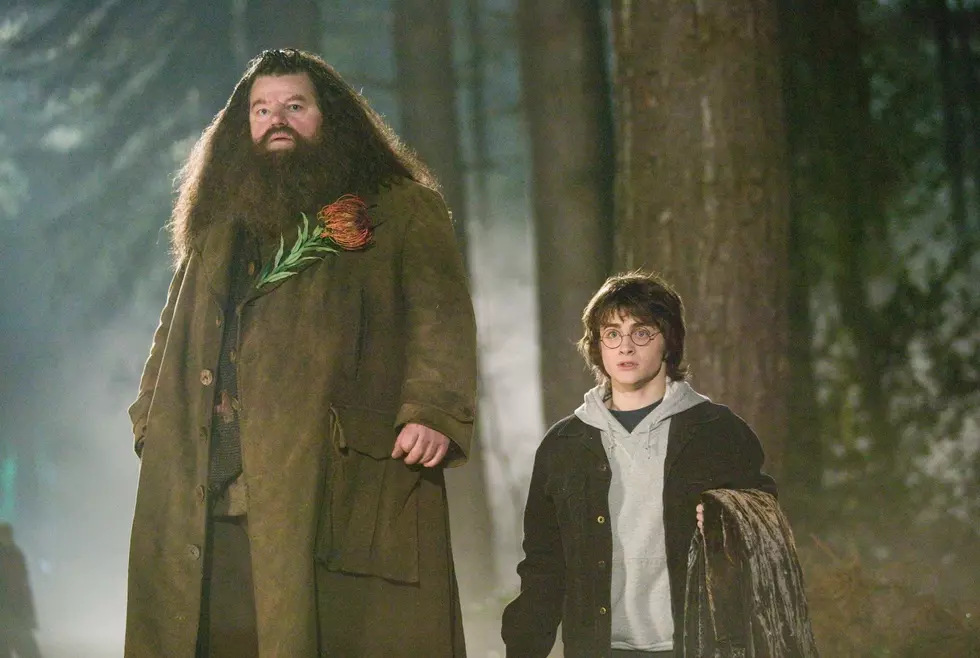 Daniel Radcliffe Pays Tribute to the Late Robbie Coltrane