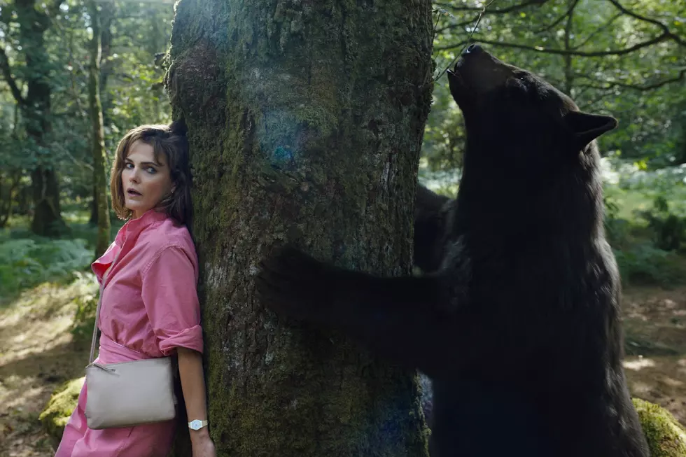 Watch a Bear Do Cocaine in the ‘Cocaine Bear’ Trailer