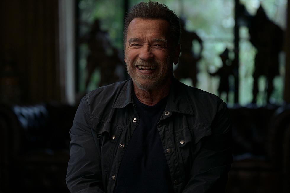 Arnold Schwarzenegger Is Getting His Own Netflix Documentary Series