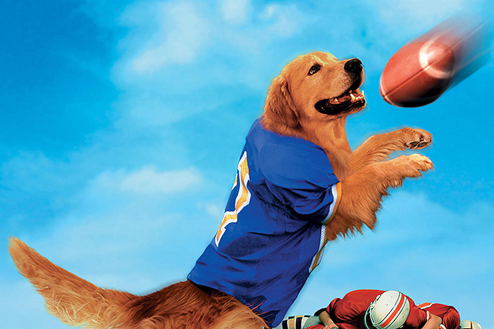 All Five ‘Air Bud’ Movies Are Finally Coming to Streaming