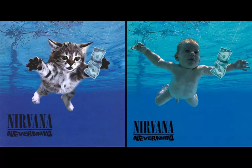 See Your Favorite Album Covers Recreated With Kittens