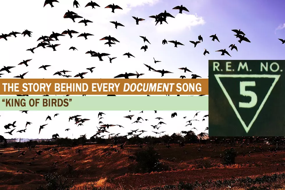 R.E.M. Ponder Earthquakes and Artistry on ‘King of Birds’