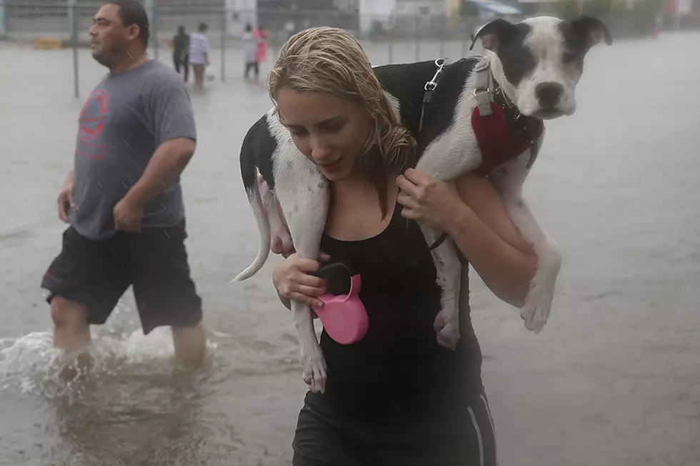 R.E.M.’s ‘Houston’ Underscored the Plight of Hurricane Refugees 12 Years Before Harvey