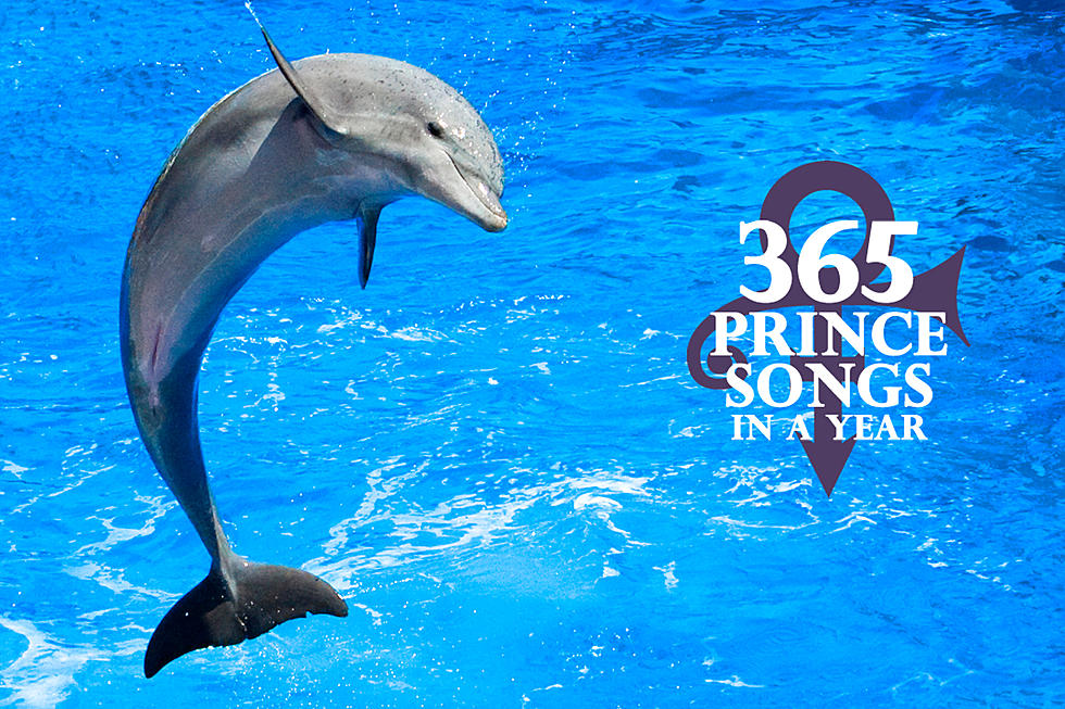 Prince Wants to Come Back as a 'Dolphin'