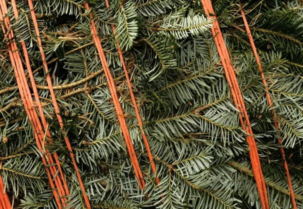 Want To Know How You Can Recycle Your Christmas Tree In Grand Rapids?