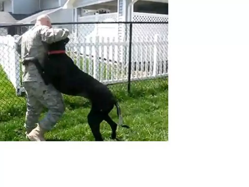 This Doggie Says Welcome Home To His Military Daddy In A Big Way