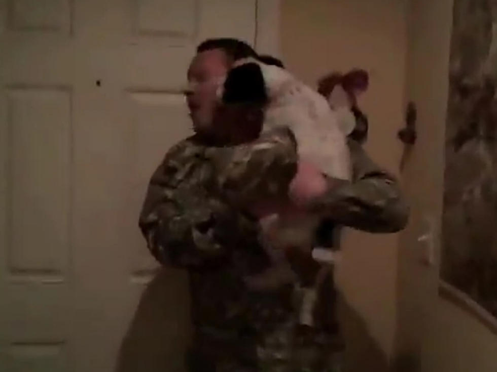 Dogs Welcome Home Soldiers In Heartwarming Montage [VIDEO]