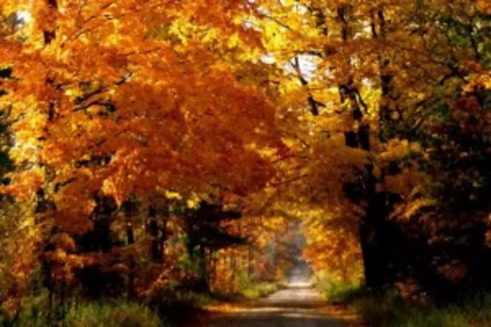 Where Is Your Favorite Place In Michigan For A Fall Color Tour?