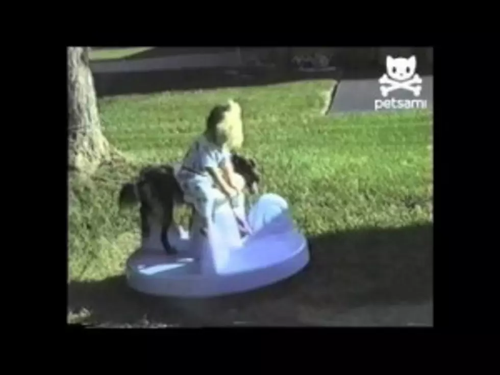 Dog Takes a Ride  (video)