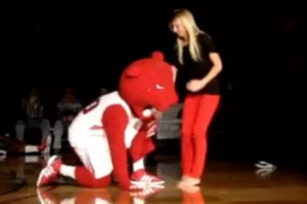 West Michigan Mascot Proposes Marriage [Video]