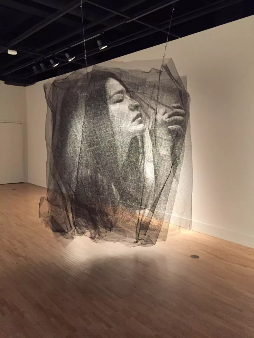 ArtPrize Entry Uses Sheets of Stainless Steel Wire Mesh [Video]