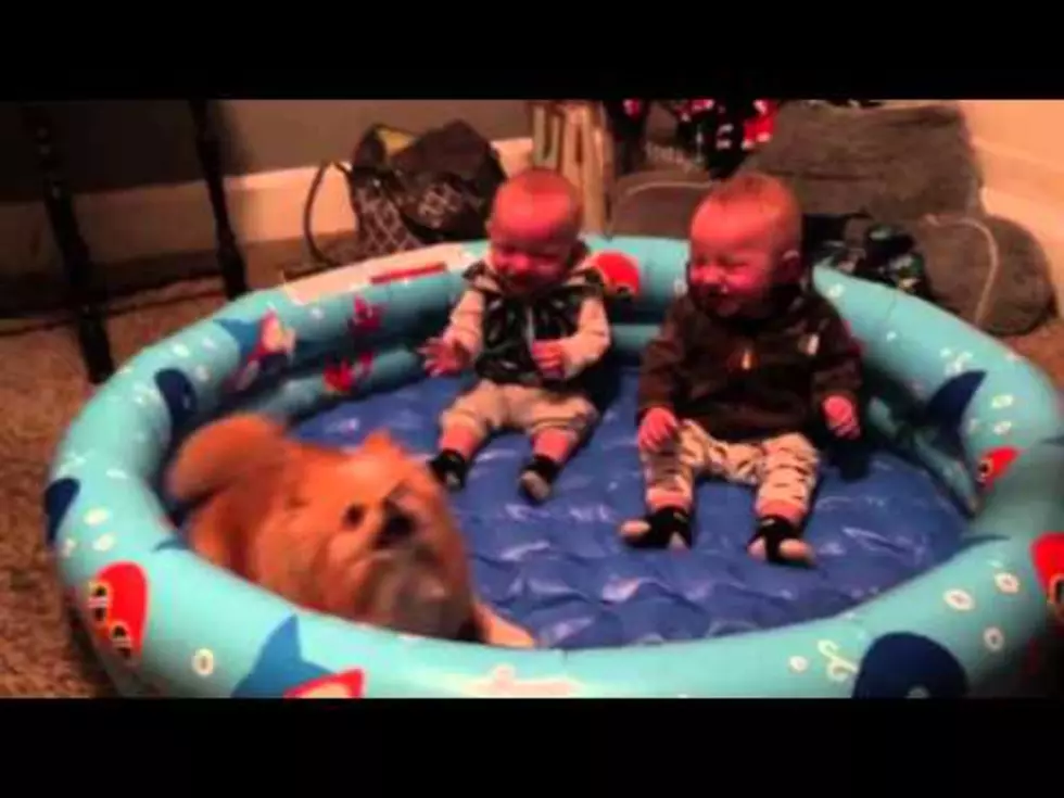 Laughing Babies are Today&#8217;s Awesome Moment [Video]