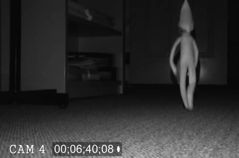 Elf on the Shelf Security Footage [Video]