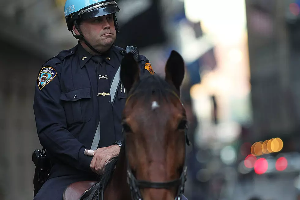Grand Rapids Police Putting Officers on Horseback