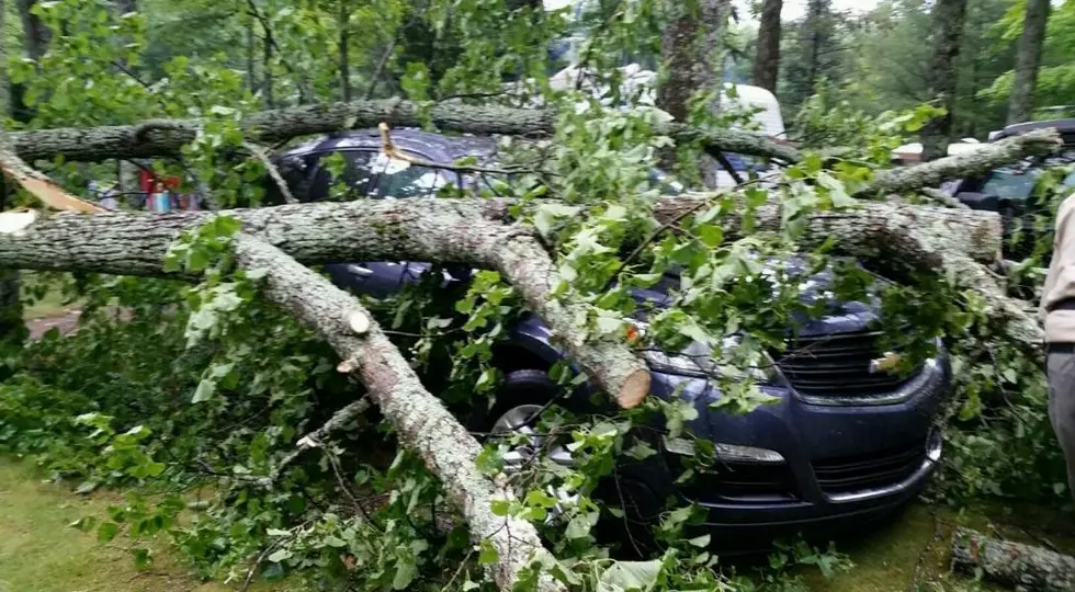 Storm Damage Closes Michigan State Parks