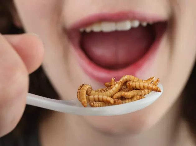 We Eat Bugs All The time And Don&#8217;t Even Know It