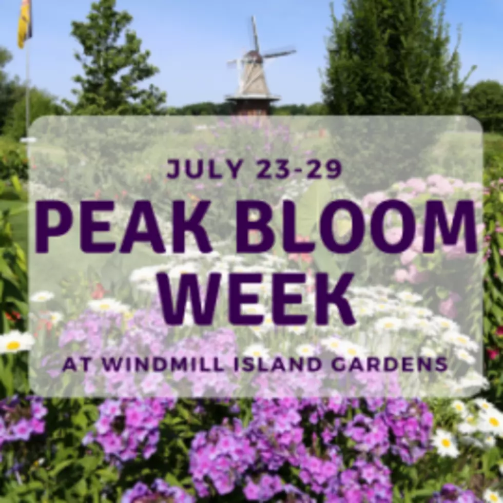 City of Holland/Windmill Island