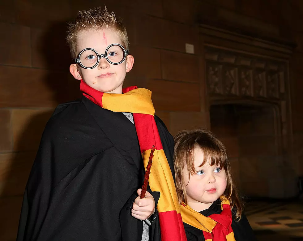 Saturday is Best Day Ever for West Michigan ‘Harry Potter’ Fans