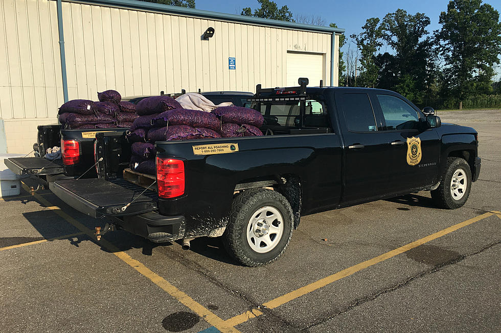Truck in Michigan Busted With 2,000 Pounds of Illegal Crayfish