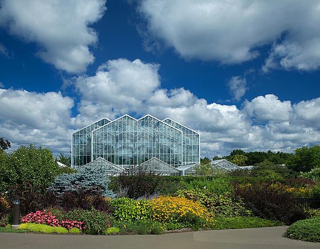 The Butterflies at Meijer Gardens Are Just 4 Weeks Away
