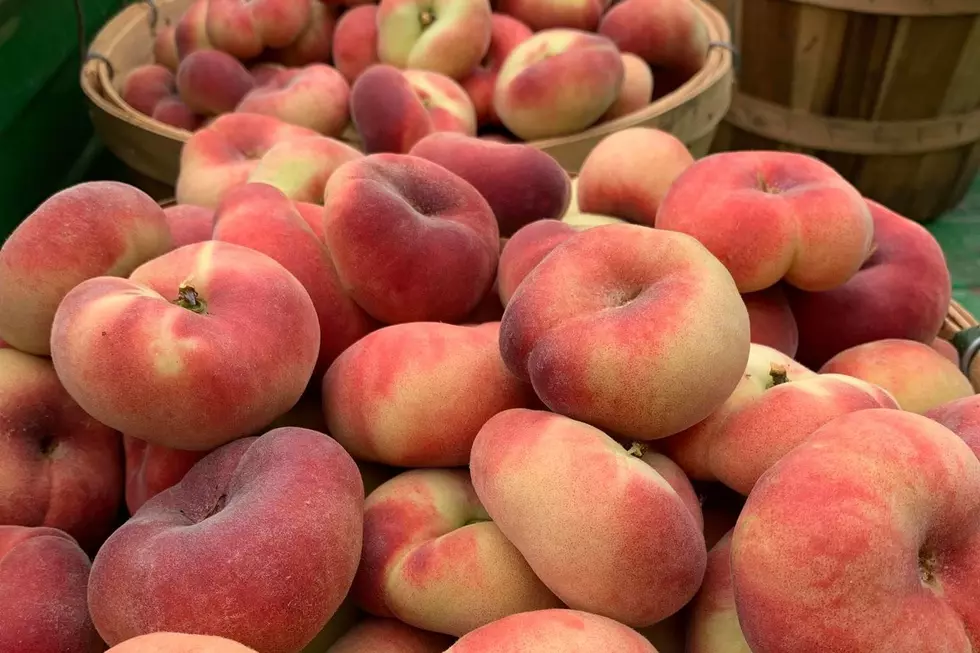 Michigan’s Growing Fruit Craze: Donut Peaches