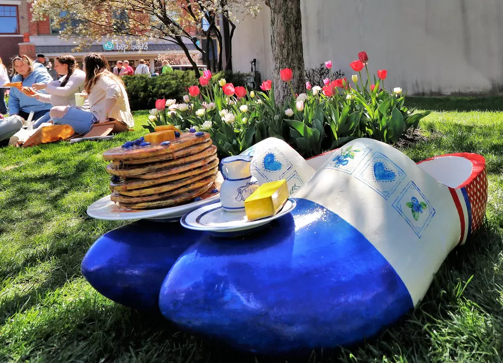 Tulip Time Seeks Artist Design Submissions for Giant Wooden Shoes