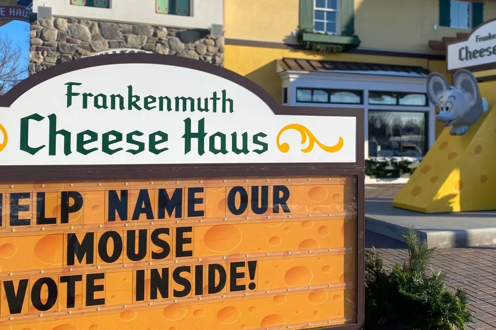 Help Name the Frankenmuth Cheese Haus Mouse