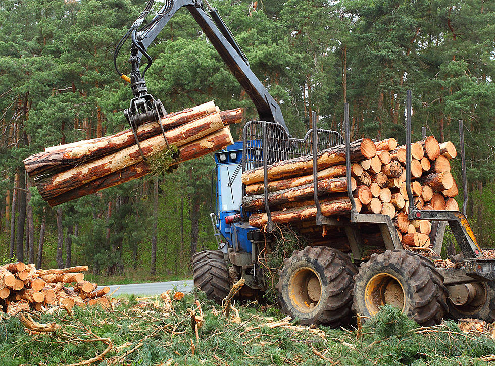 Man Faces 40 Years for Lying to Landowners About Timber Harvested