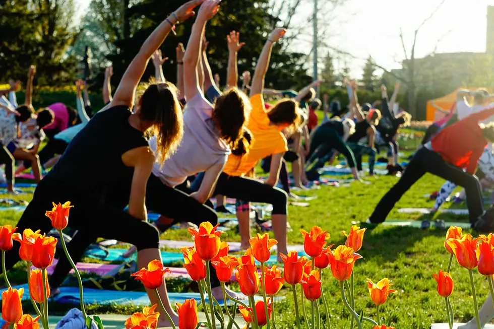 ‘Yoga in the Tulips’ Returning to Holland for Tulip Time