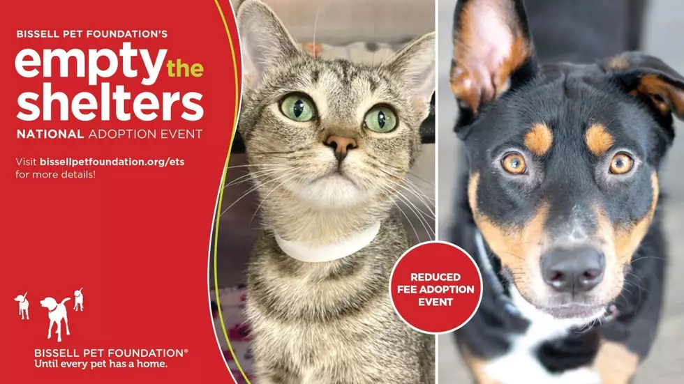 HSWM/Bissell Pet Foundation