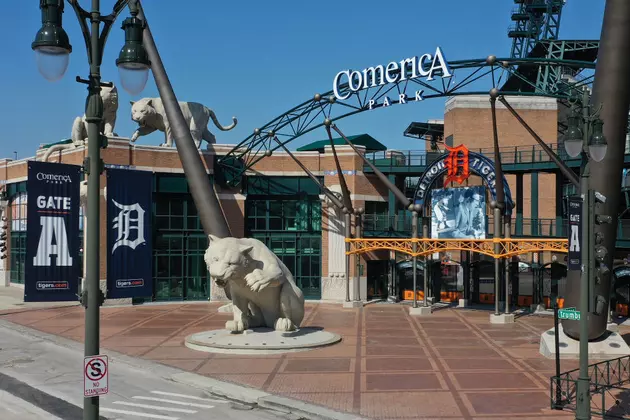 You&#8217;re Going to Have to Try Some New Food at a Tigers Game!