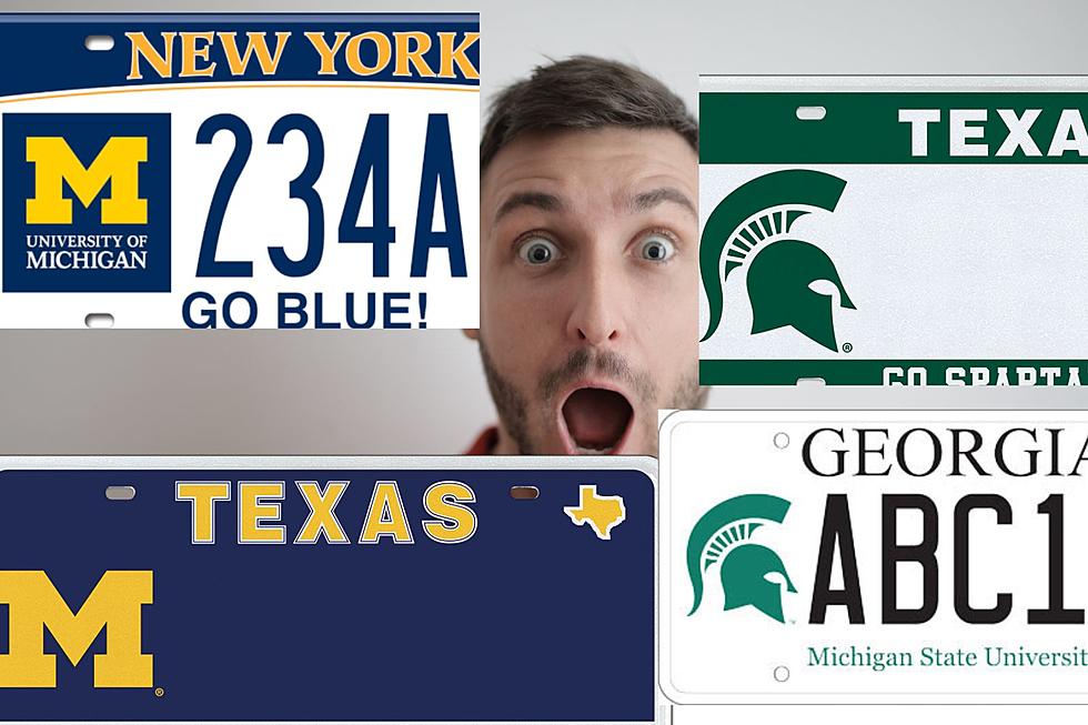6 States Other Than Michigan That Offer Official University of Michigan and Michigan State License Plates
