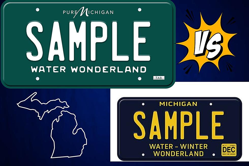 Do You Believe This Conspiracy Theory about Michigan License Plates?